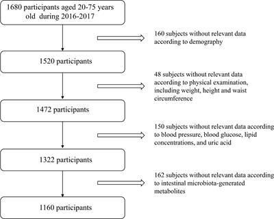 Integrating Choline and Specific Intestinal Microbiota to Classify Type 2 Diabetes in Adults: A Machine Learning Based Metagenomics Study